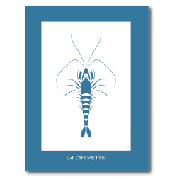 Crevette Affiche Bleue