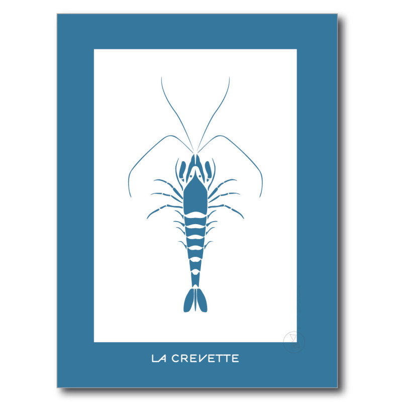 Crevette Affiche Bleue