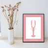 Langoustine Affiche Rose