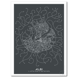 Albi Affiche Plan