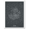 Albi Affiche Plan