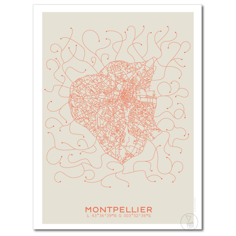 Montpellier Affiche Plan