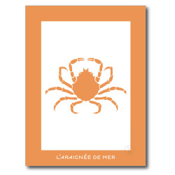 Araignée de Mer Affiche Orange
