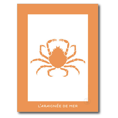 Araignée de Mer Affiche Orange