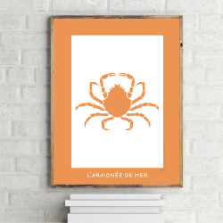 Araignée de Mer Affiche Orange