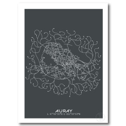 Auray Affiche Plan