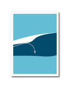 VOILES SURFS & CRUSTACÉS